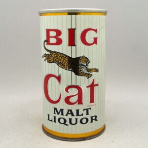 Big Cat 39-22